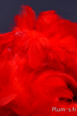 Poule - 5-9 cm - rouge